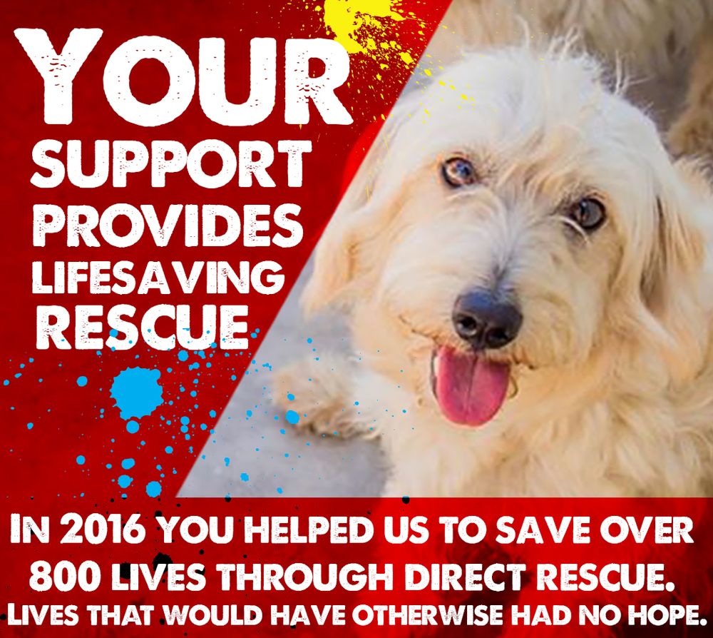 Compassion Without Borders 1130 Butler Ave Community Service/Non