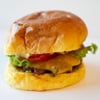 Randy's Grass Fed Hamburgers
