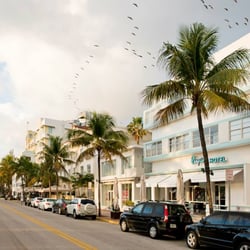 Penguin Hotel 91 Photos 80 Reviews Hotels 1418 Ocean Dr Photo Of Penguin Hotel Miami Beach Fl United States The