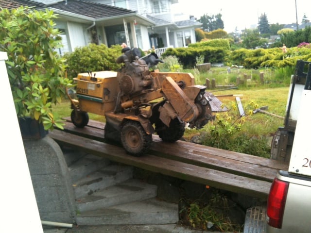 Stump grinding termites, Wrightwood CA