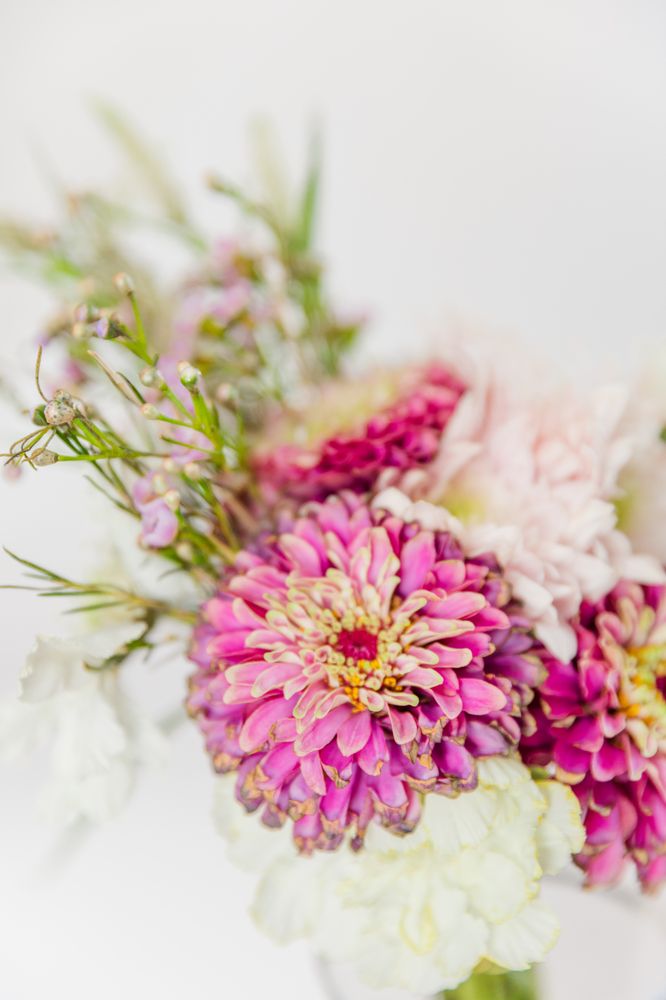 Sierra Marie Photography