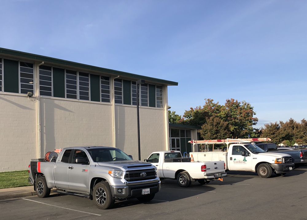 Real Pest Management