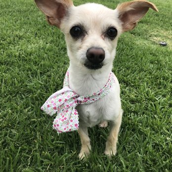 my pet garden 174 photos 345 reviews pet stores 2245 e colorado blvd pasadena ca phone number services yelp - My Pet Garden my pet garden 174 photos 345 reviews pet stores 2245 e colorado blvd pasadena ca phone number services yelp - My Pet Garden
