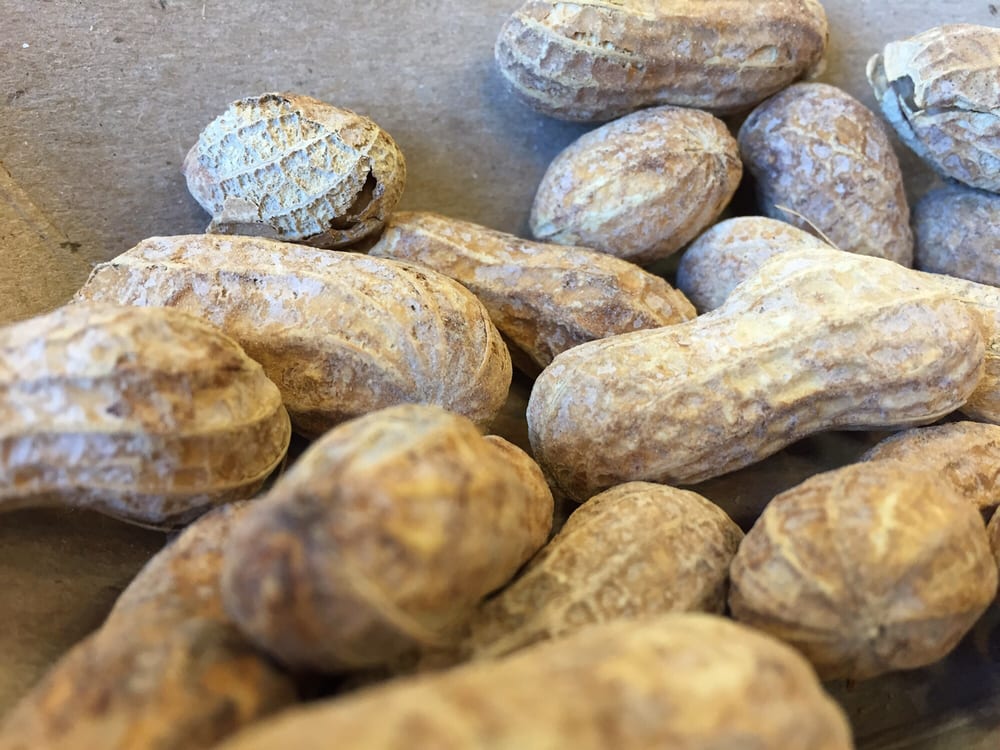 Five Guys 25 Photos & 71 Reviews Burgers 1200 Cooper Point SW