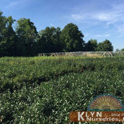 Klyn Nurseries Gardening 3322 S Ridge Rd Perry Oh Klyn Nurseries Gardening 3322 S Ridge Rd Perry Oh Phone Number Yelp