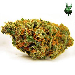 popular weed White Widow