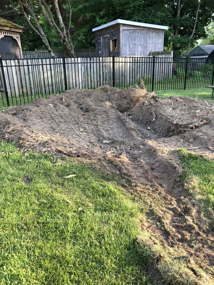 NE Tree and Property Service