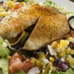 The Best 10 Mexican Restaurants In Gahanna Oh Last Updated El Vaquero Mexican Restaurant