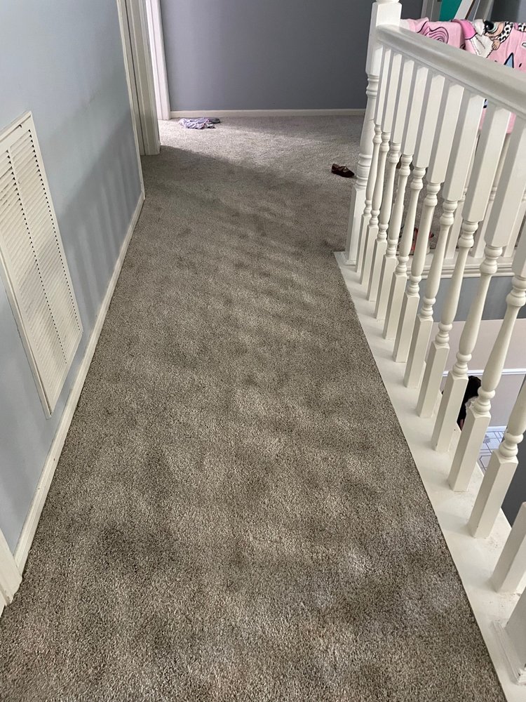 The Carpet Man