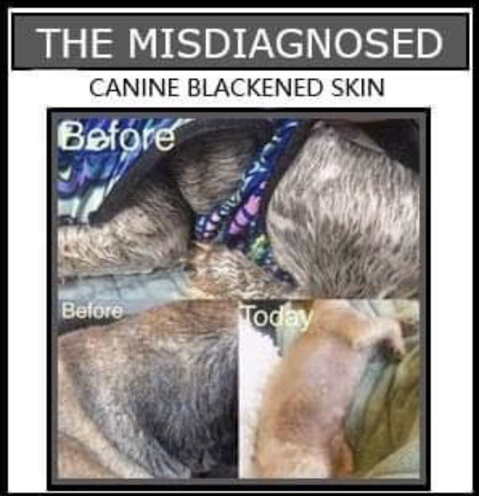 image of business The Misdiagnosed