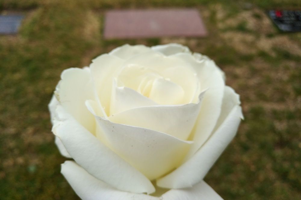 Good Shepherd Cemetery