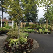 Shorty S Garden Center 13 Photos 26 Reviews Nurseries Photo Of Shorty S Garden Center Vancouver Wa United States A Beautiful