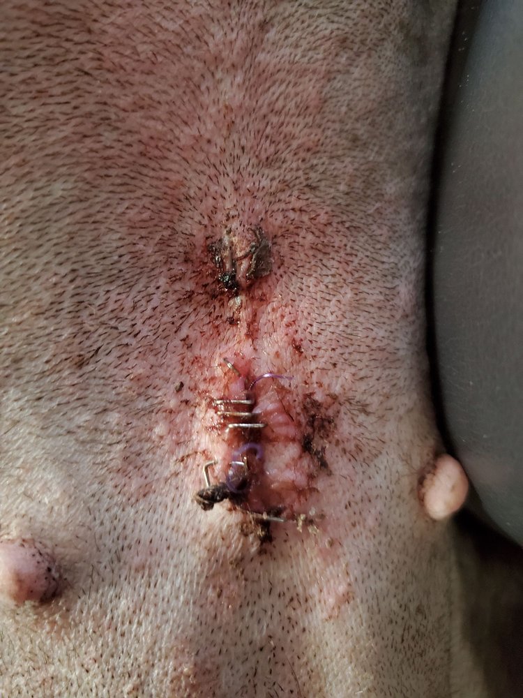 Nutmeg Spay/Neuter Clinic