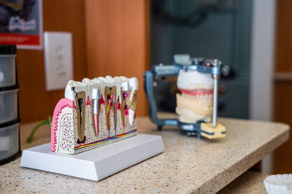 image of business Wisteria Dental Care