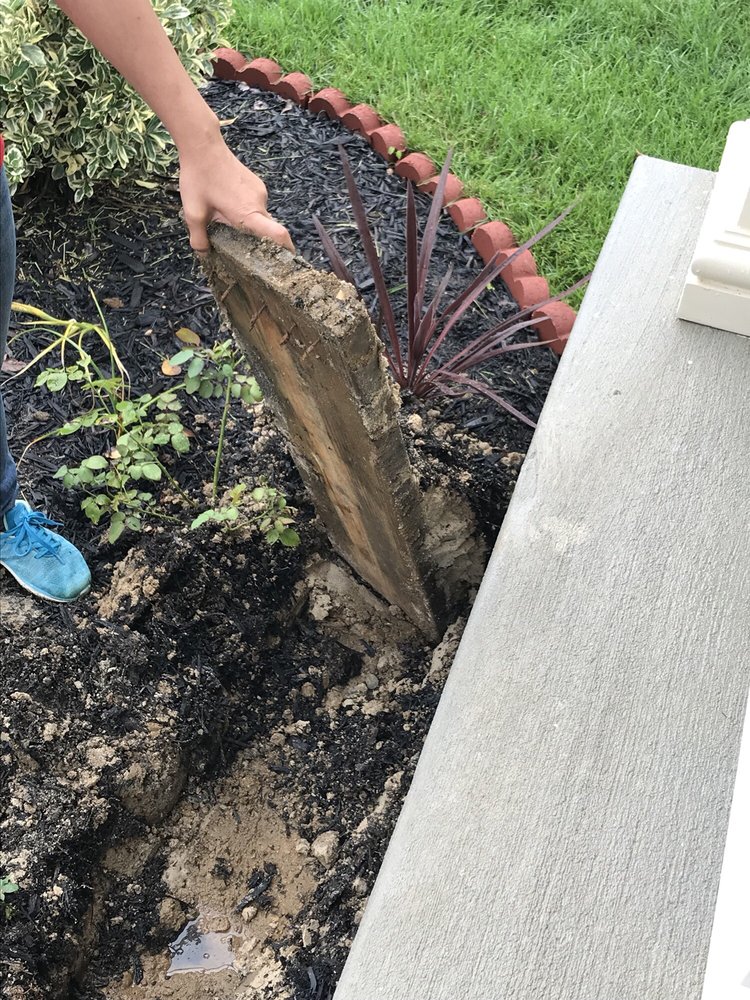 Denison Landscaping & Nursery
