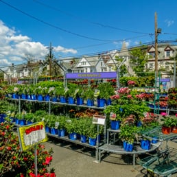 Photos for Orange Garden Center - Yelp