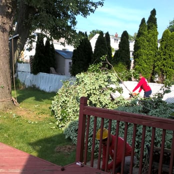 Woodpecker Tree Service - 106 Photos & 13 Reviews - Tree Services