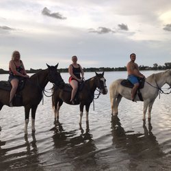 Beachhorses 54 Photos 15 Reviews Horseback Riding 8400 Photo Of Beachhorses Bradenton Fl United States An Amazing Time