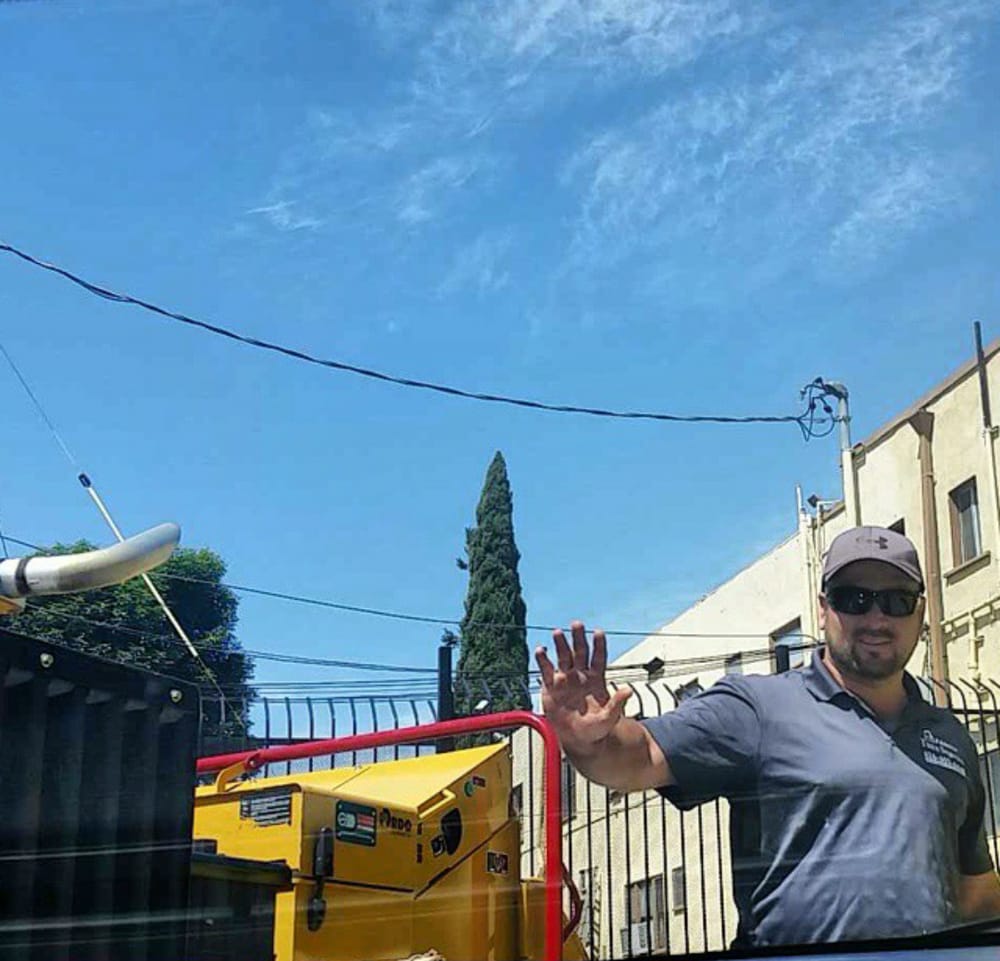Family Tree Service