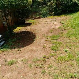Photos For Top Turf Lawn Care And Pest Management Yelp Photo Of Top Turf Lawn Care And Pest Management Lawrenceville Ga United States