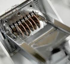 Dutch Girl of Fletcher