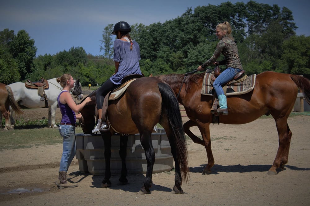 Maybury Riding Stable 29 Photos & 19 Reviews Horseback Riding