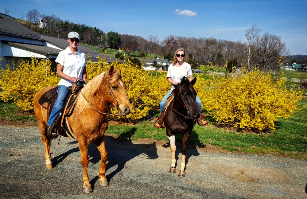 Indian Summer Guide Service 42 Photos & 17 Reviews Horseback Riding