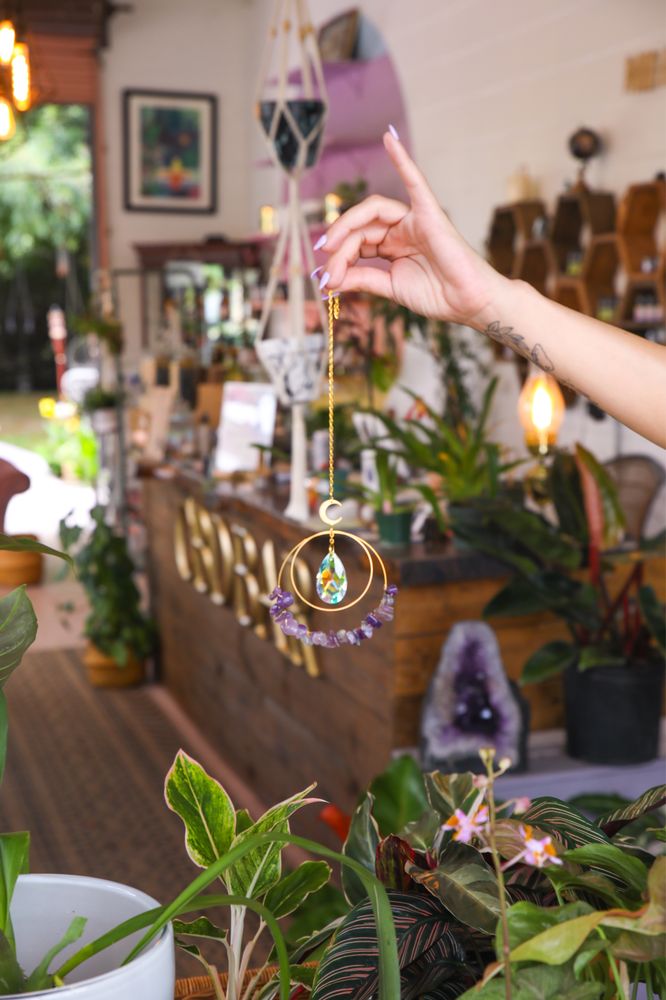 Wilderness Plant Shop