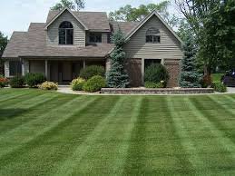 Ramirez turf management