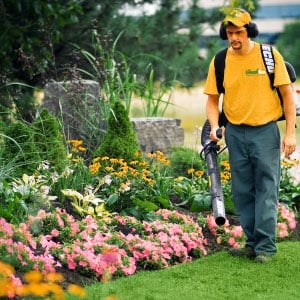 The Grounds Guys of The Golden Triangle