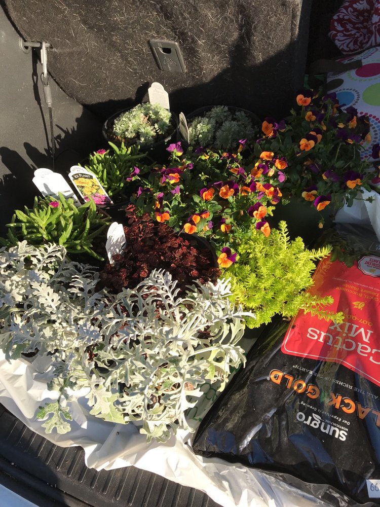 Wilson’s Nursery & Garden Center Nurseries & Gardening 921 W Main