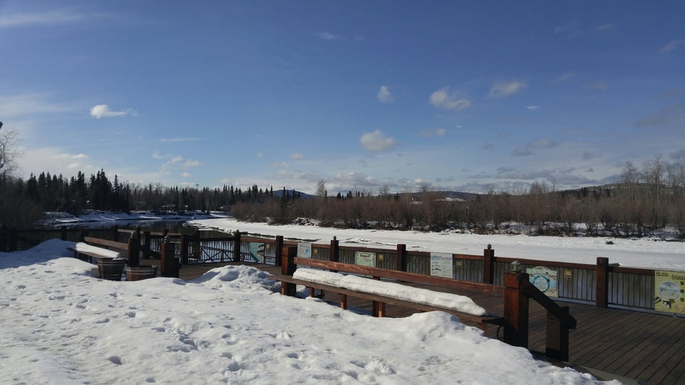 Pike’s Landing 79 Photos & 111 Reviews Seafood 4438 Airport Way