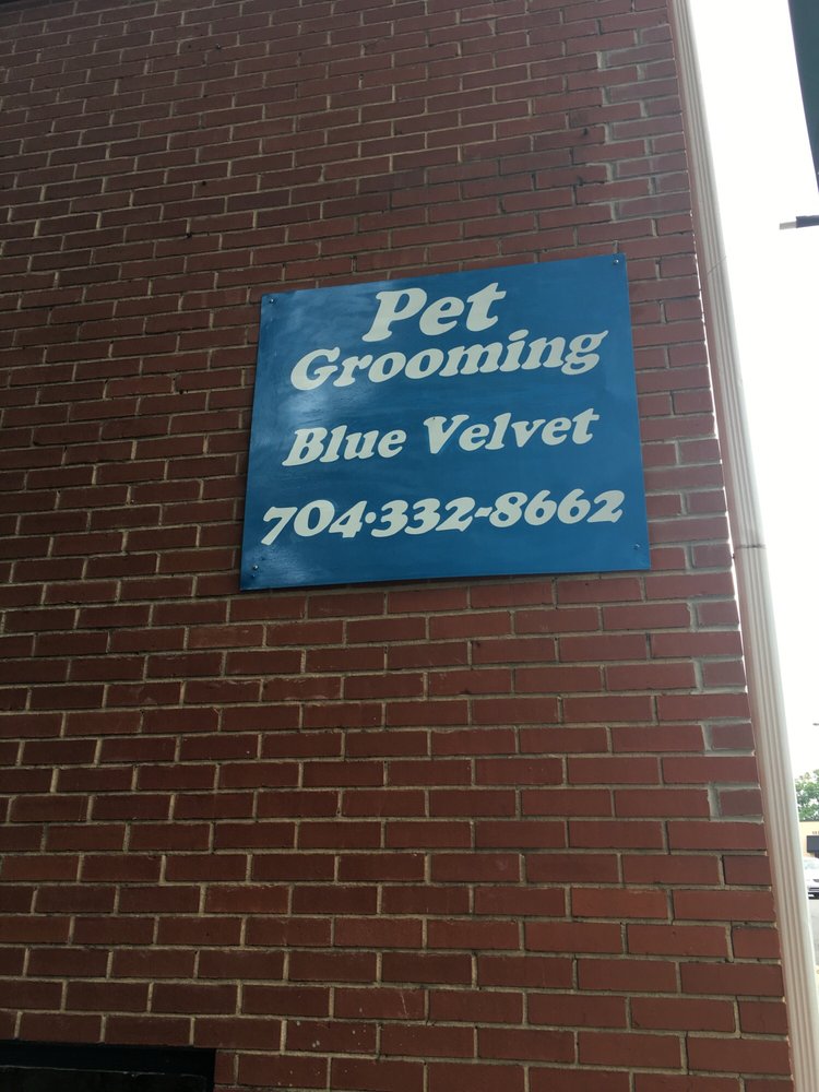 Blue Velvet Grooming Parlor 13 Reviews Pet Groomers 2916 Selwyn