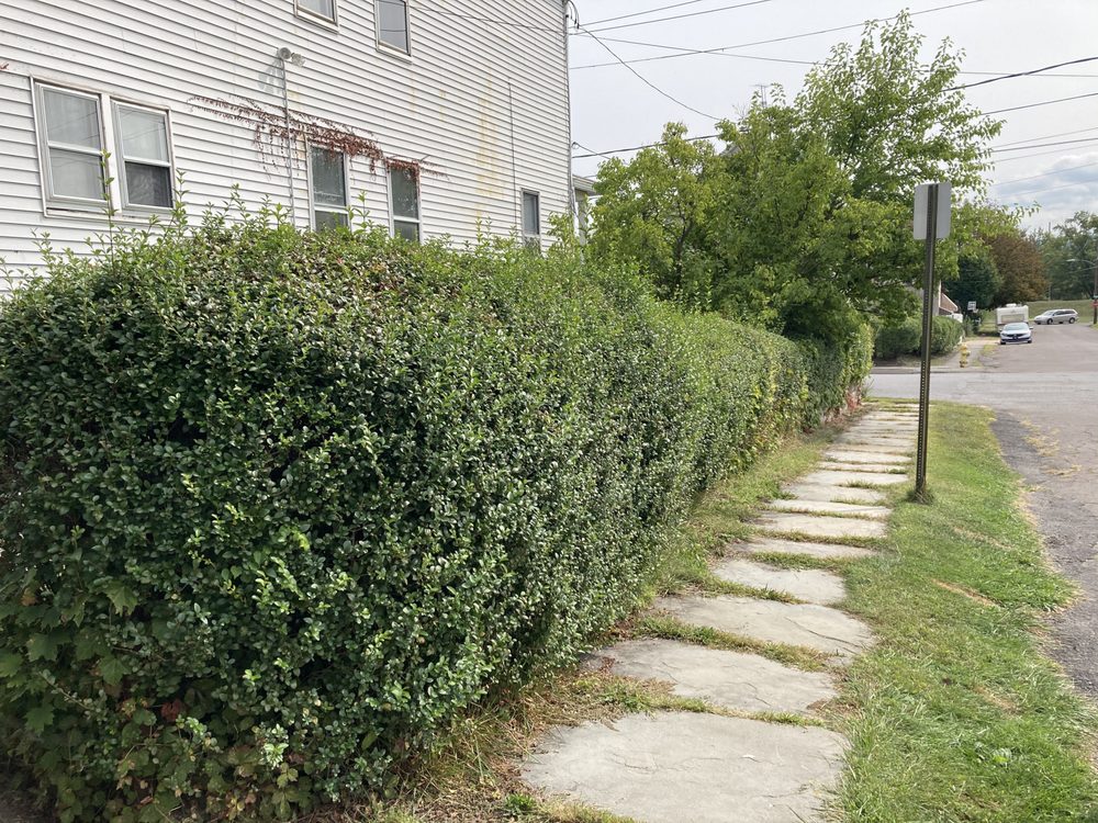 Ascape Landscaping