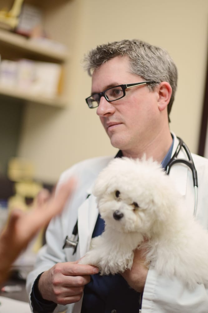 43 Pet Check Urgent Care Near Me Photos