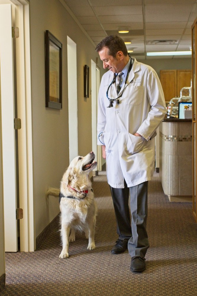 image of business Lebowitz Dental Associates