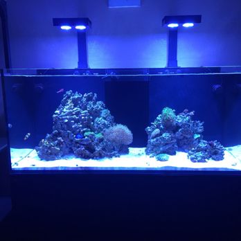 reliant aquarium design 46