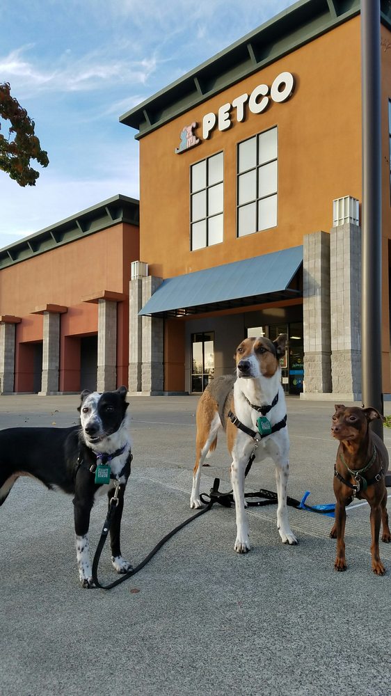 petco 34 photos 58 reviews pet stores 2765 santa petco 34 photos 58 reviews pet stores 2765 santa