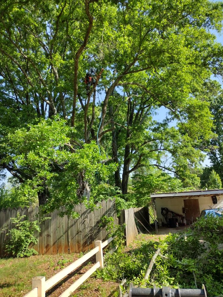 Spaulding Tree Service