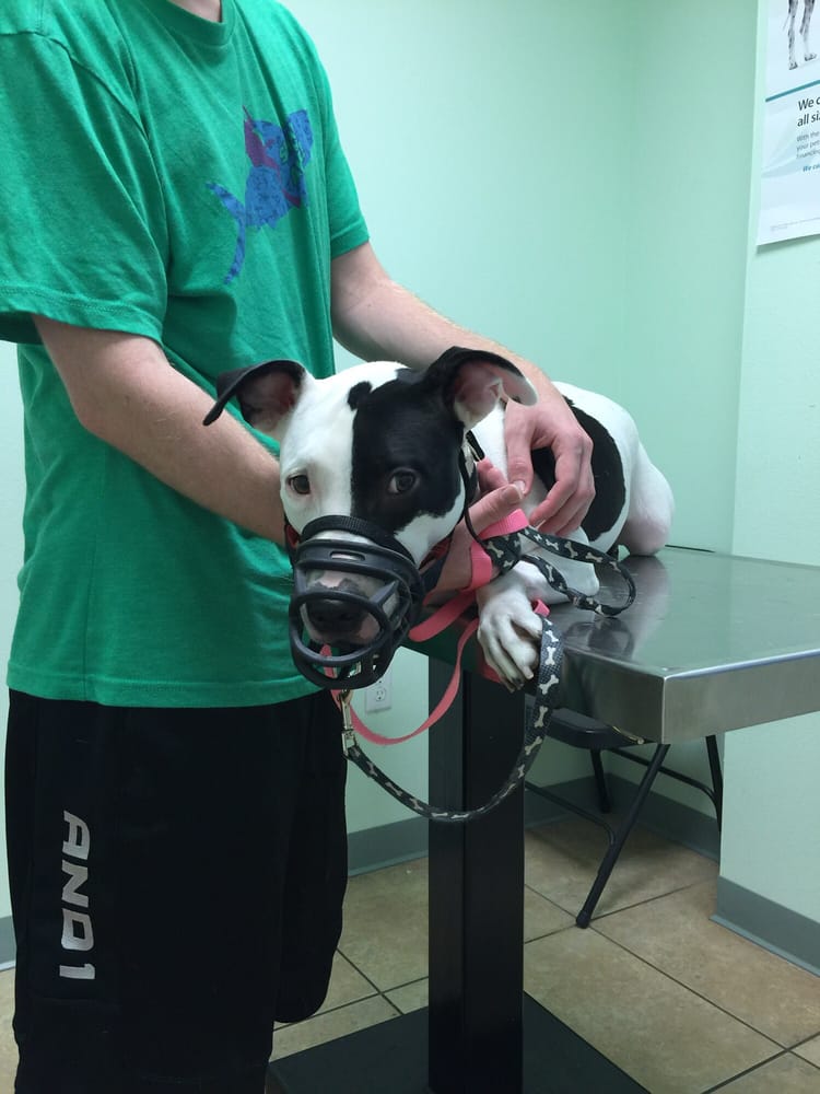 Osceola Animal Emergency 15 Photos & 13 Reviews Veterinarians