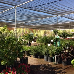 Nurseries Gardening In Tempe Yelp A P Nurseries Lawn Mower