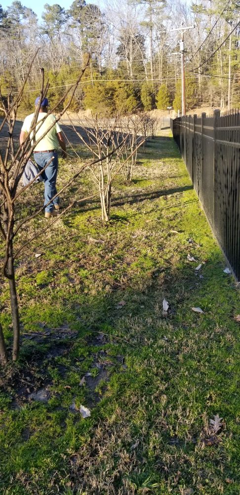 Ramirez Martinez Landscaping