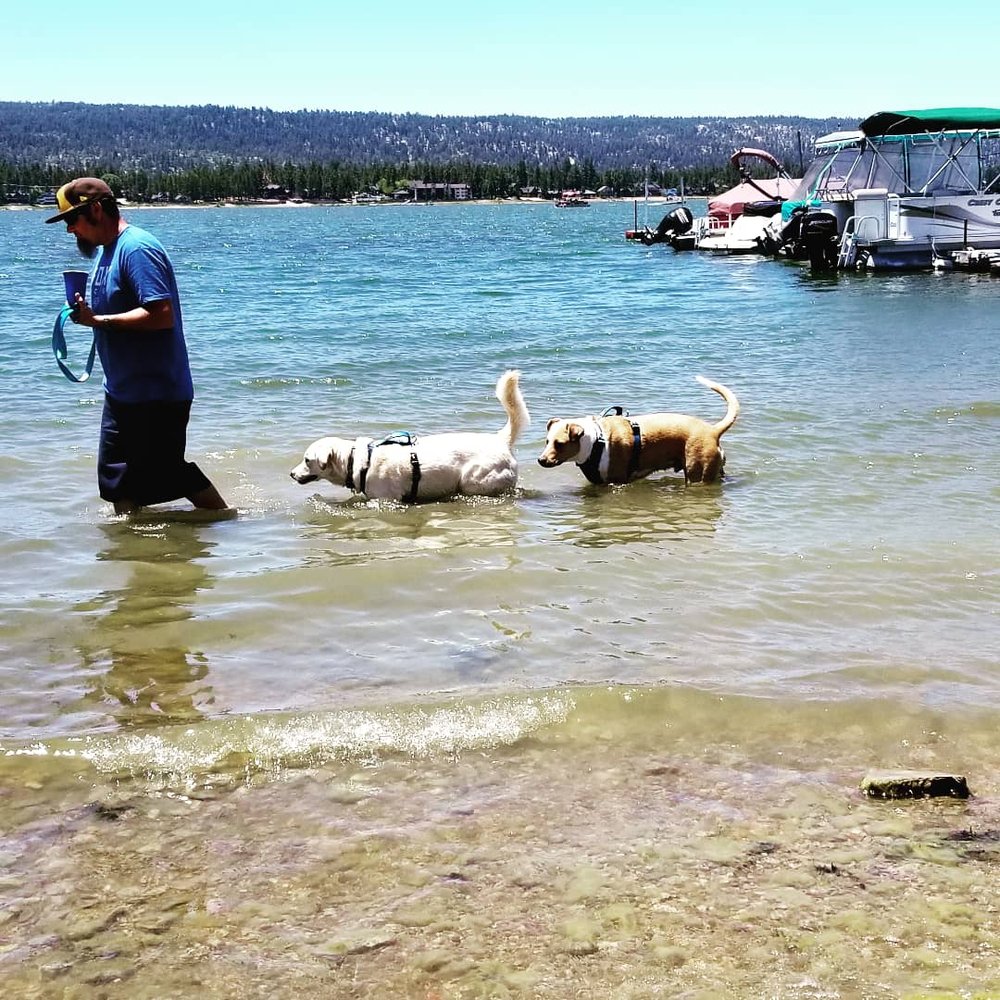 Available RV Rentals Big Bear Lake, CA 9 %business_name