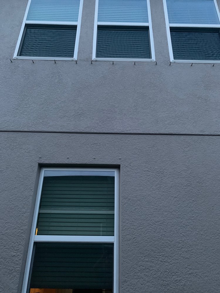 True Colors Painting Services