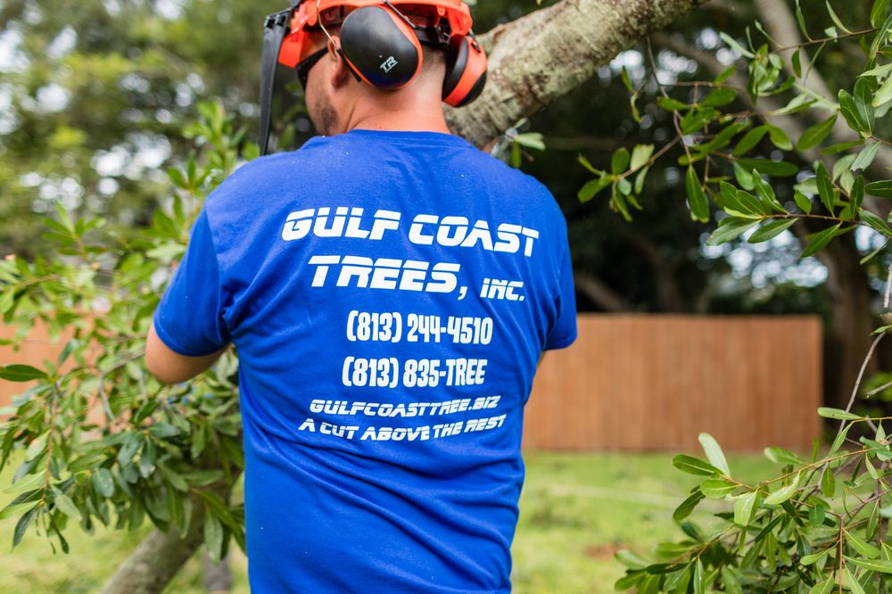 Gulf Coast Trees