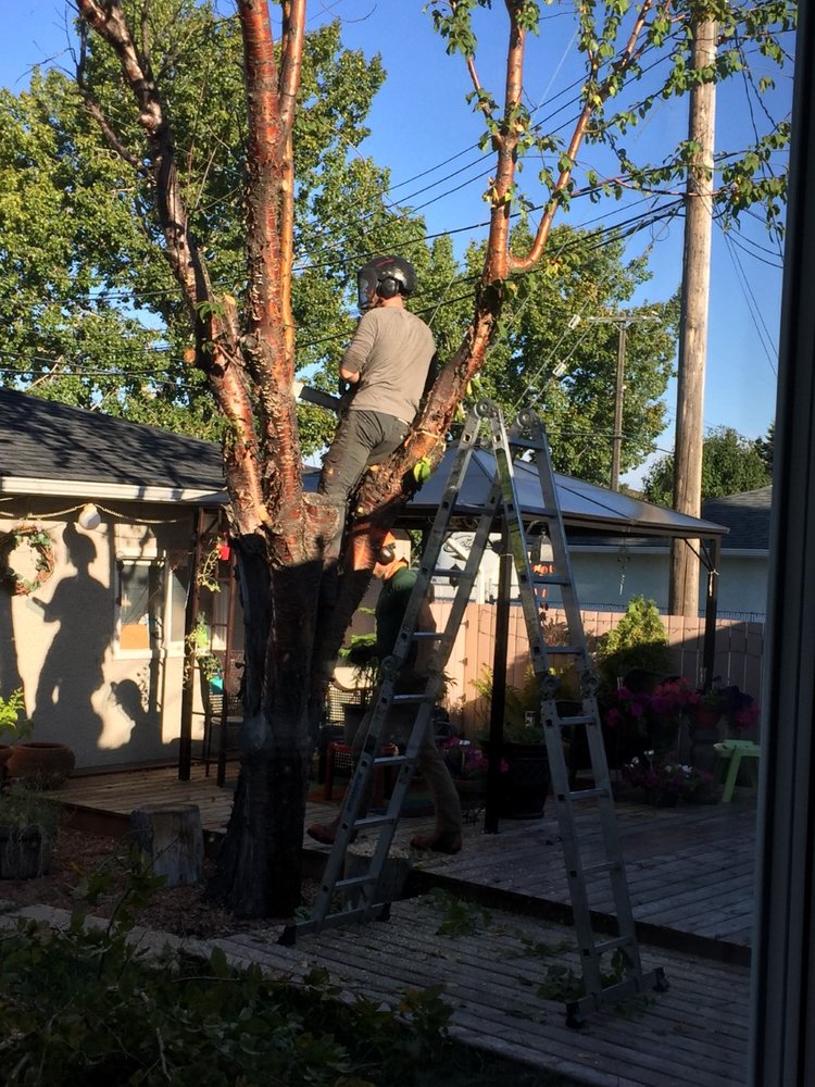 Grinder's Tree Service