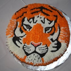 carina s cakes 12