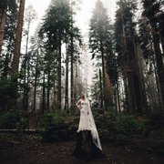 Sequoia Weddings Wedding Planning National Park Ca Marissa Photo Of Sequoia Weddings National Park Ca United States