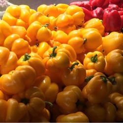 the root cellar 19 reviews grocery 1286 mckenzie avenue root cellar flyer victoria bc