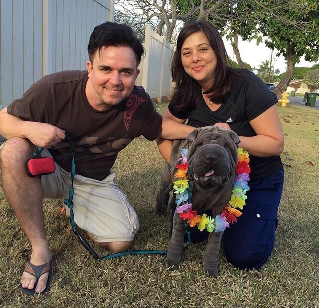 Island Pet Movers 20 Photos & 83 Reviews Pet Boarding/Pet Sitting